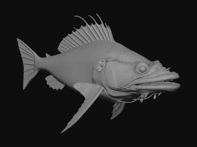3D model for Глубоководная рыба , напоминающее удильщика, но без тонких плавников, зубов и усов.