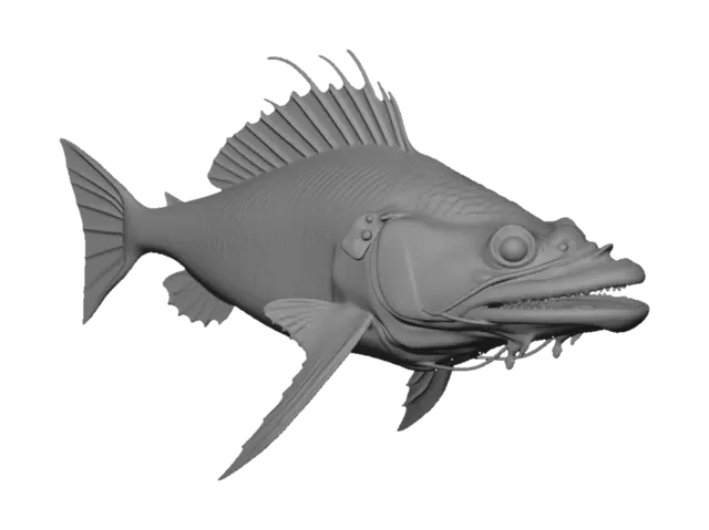 3D model for Глубоководная рыба , напоминающее удильщика, но без тонких плавников, зубов и усов.