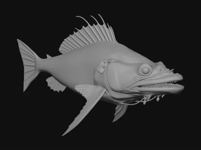 3D model for Глубоководная рыба , напоминающее удильщика, но без тонких плавников, зубов и усов.