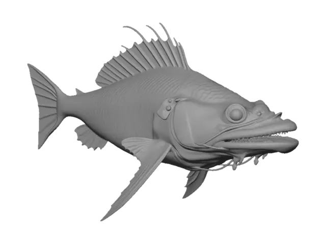 3D model for Глубоководная рыба , напоминающее удильщика, но без тонких плавников, зубов и усов.