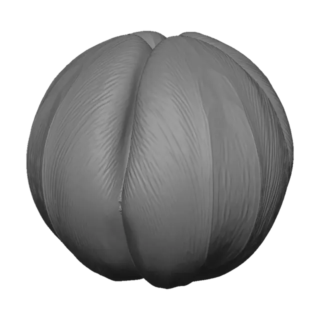 3D model for Wispweave asset: FROSTBLOOM TWIN CROCUS SEED. One compact solid double-lobed alpine pod made to tumble in a top-down game. Two unequal teardrop bulbs are fused by one thick intertwined root bridge; each is wrapped by three overlapping crocus shell scales. Deep blue-green mineral tissue, glacial-cyan edges, restrained antique-gold veins, indigo recesses, tactile waxy lightly frosted PBR surfaces. Strong asymmetrical silhouette from every side, substantial thickness, sealed underside, no fragile needles. One centered isolated object. No flower, leaf spray, snow platform, pedestal, second disconnected object, loose shard, ring, halo, sphere, cavity, hollow cage, flat medallion, paper-thin surface, excessive white, transparency, text, logo, scenery, franchise, or artist imitation.