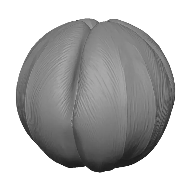 3D model for Wispweave asset: FROSTBLOOM TWIN CROCUS SEED. One compact solid double-lobed alpine pod made to tumble in a top-down game. Two unequal teardrop bulbs are fused by one thick intertwined root bridge; each is wrapped by three overlapping crocus shell scales. Deep blue-green mineral tissue, glacial-cyan edges, restrained antique-gold veins, indigo recesses, tactile waxy lightly frosted PBR surfaces. Strong asymmetrical silhouette from every side, substantial thickness, sealed underside, no fragile needles. One centered isolated object. No flower, leaf spray, snow platform, pedestal, second disconnected object, loose shard, ring, halo, sphere, cavity, hollow cage, flat medallion, paper-thin surface, excessive white, transparency, text, logo, scenery, franchise, or artist imitation.