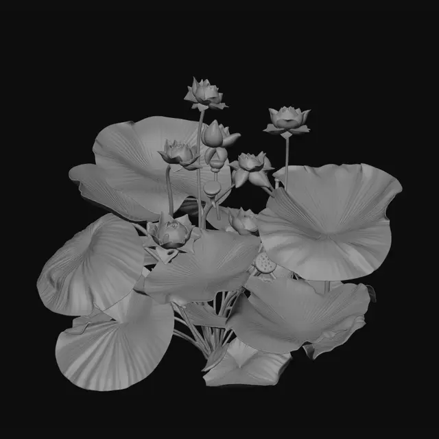 3D model for White Lotus in Green