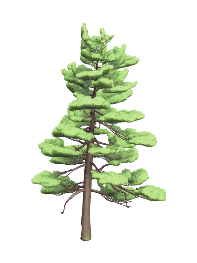 3D model for Realistic Pinetree