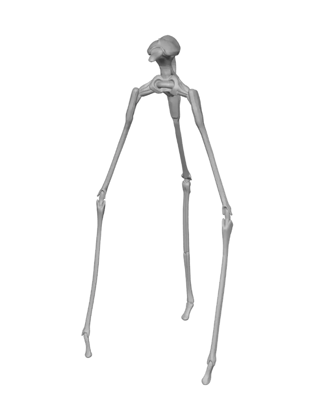 3D model for Stiltwalker of the Dusk
