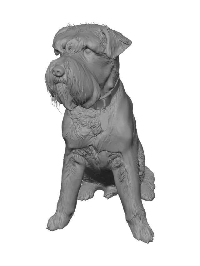 3D model for White Dog on a Quilted Couch
