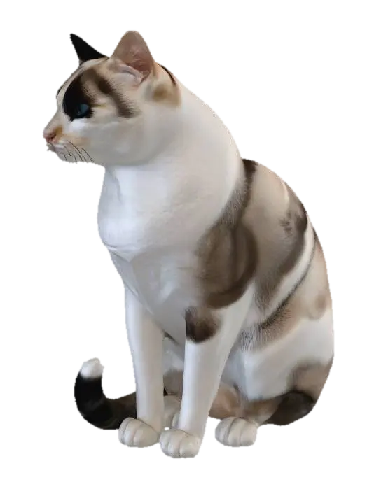 3D model for Blue-Eyed Calico