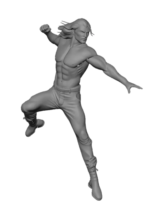 3D model for Silhouette in Flight