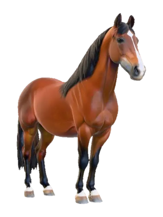 Majestic Mare - Beauty のAI生成3Dモデル