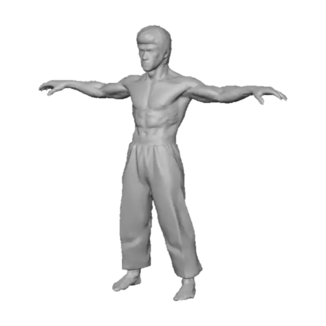 3D model for brucelp