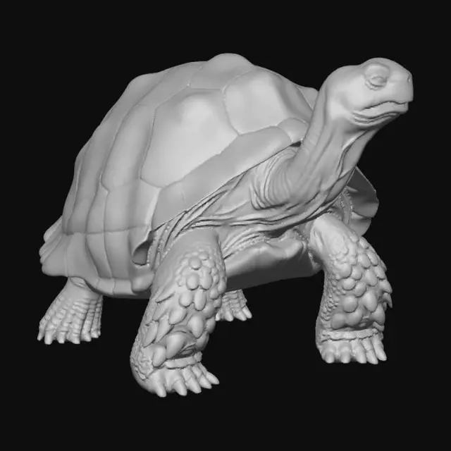 3D model for Sunlit Giant Tortoise on the Sand