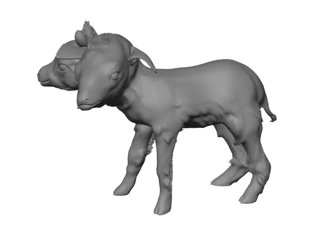 3D model for Two Plush Alpacas in a Glass Display