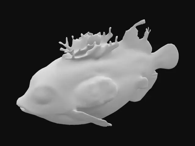 3D model for Vibrant Coral Fish