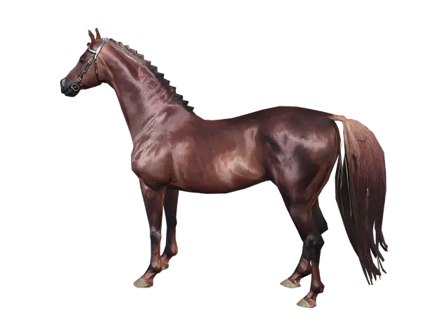 3D model for Braided Chestnut Showhorse