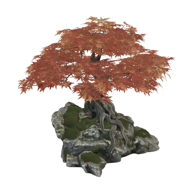 3D model for 