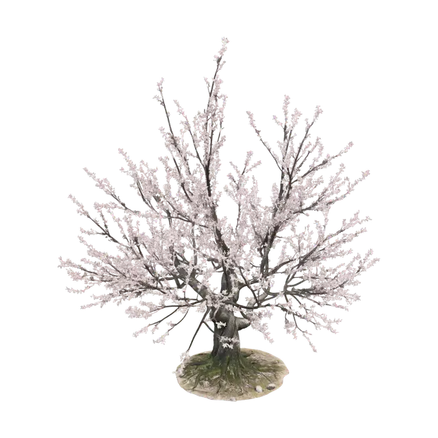 3D model for Pink Blossom Tree