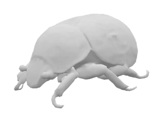 3D model for Ethereal Beetle