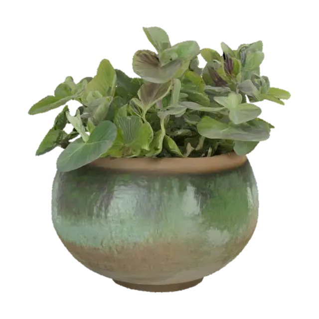 Sage plant - Cooking 3D model, vytvořený pomocí AI