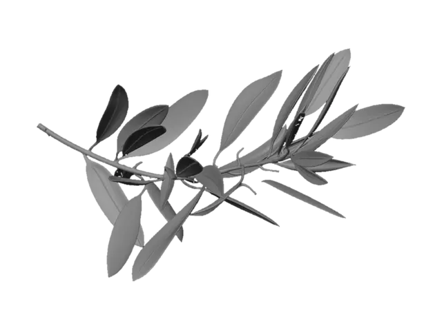 3D model for Olive Branch