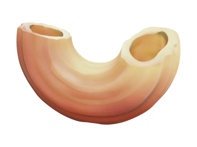 3D model for Realistic Macaroni