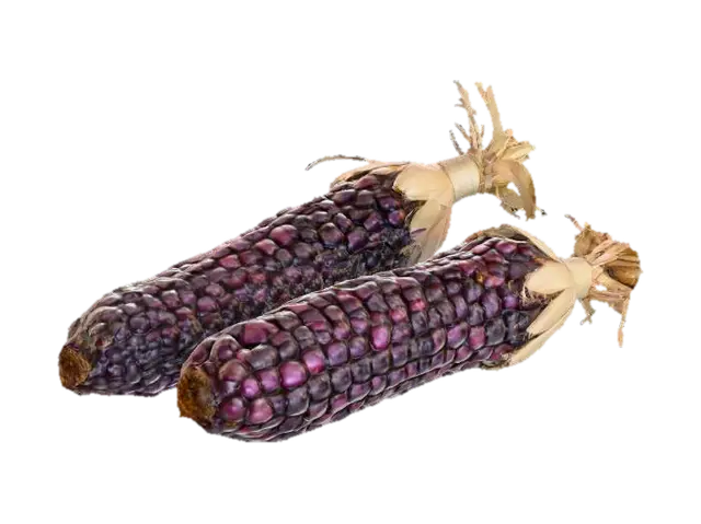 peruvian purple corn, #food# 3D model, vytvořený pomocí AI
