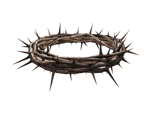 3D model for Crown of Thorns