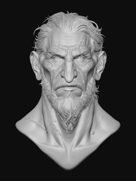 3D model for The Scarred Elder