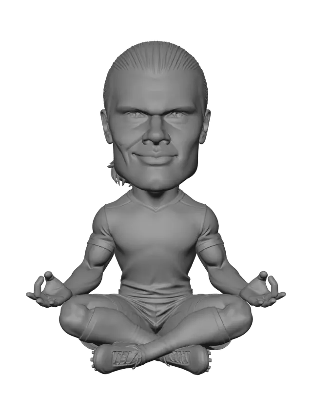 3D model for Nordic Zen Striker