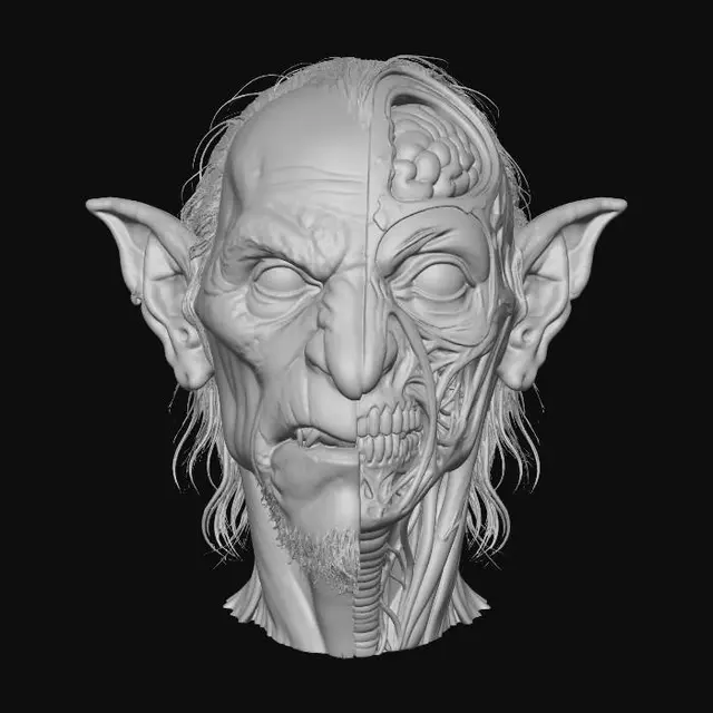 3D model for Anatomy of an Ogre