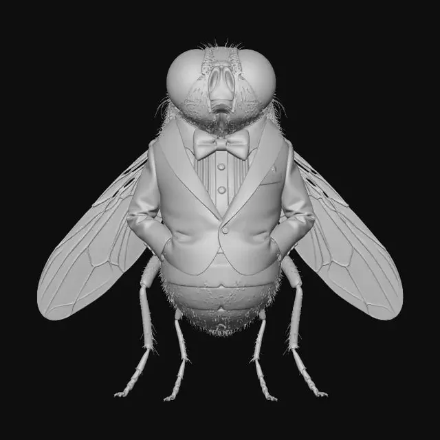 3D model for The Dapper Fly