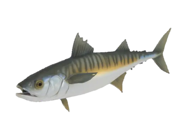 Mackerel Illustration - Clipart 3D model, vytvořený pomocí AI