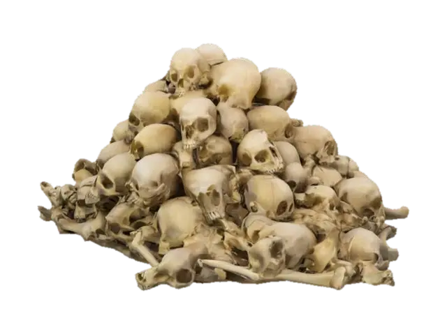 A PILE OF SKULLS AND BONES - Artifacts 3D model, vytvořený pomocí AI