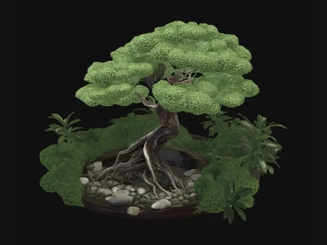 3D model for Rooted in Stone