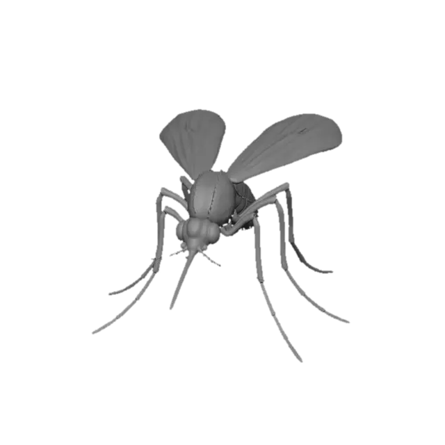 3D model for Wasp in Flight