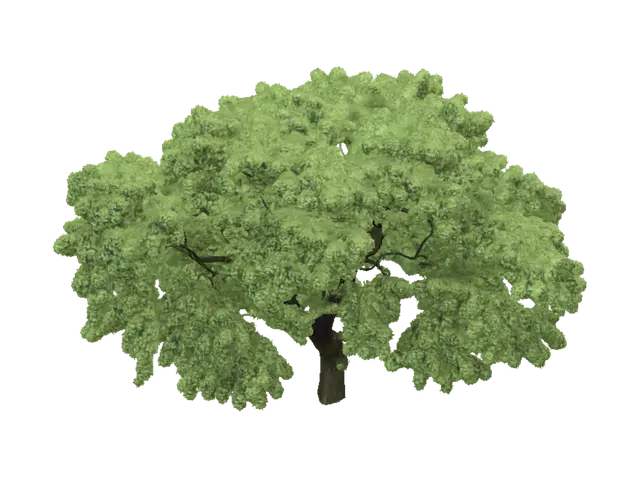 3D model for Verdant Canopy