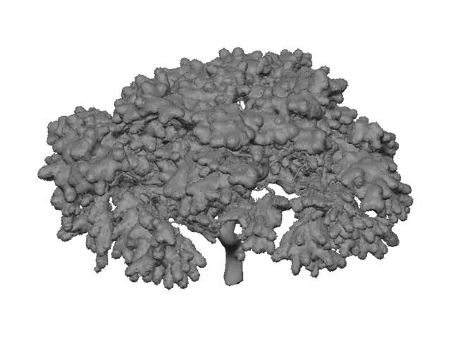 3D model for Verdant Canopy
