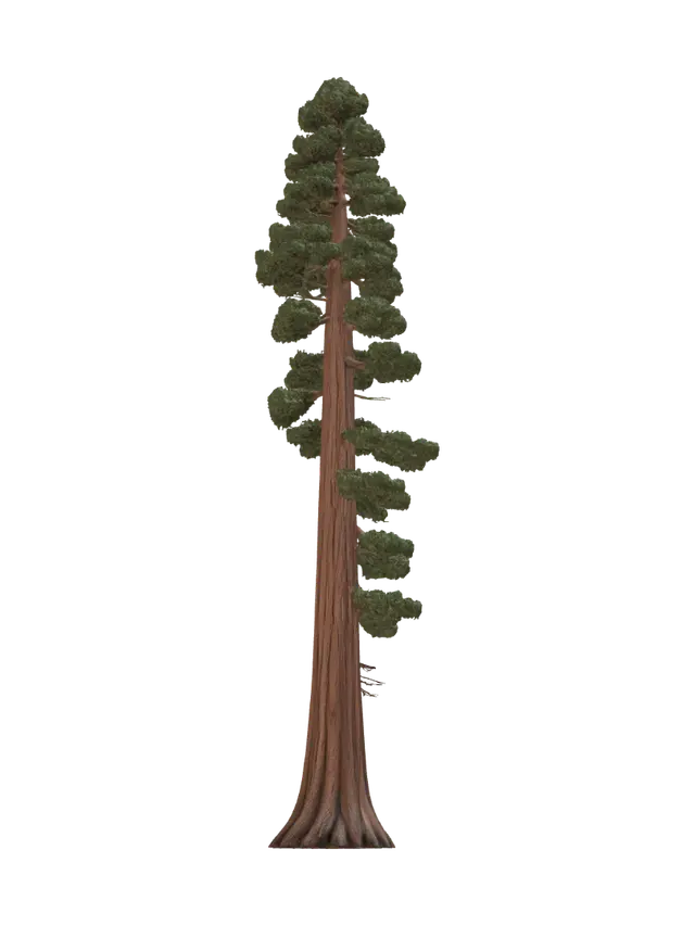 Lone Redwood - Bark 3D model, vytvořený pomocí AI