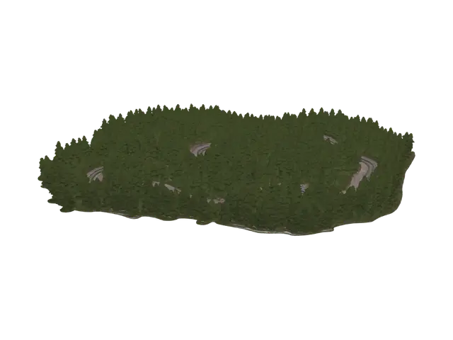 3D model for Serpentine Forest Road
