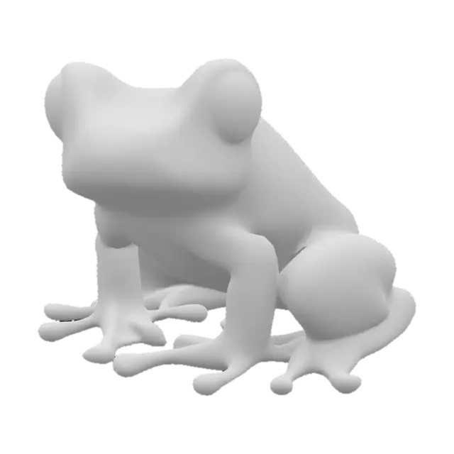 3D model for Green Frog Illustration