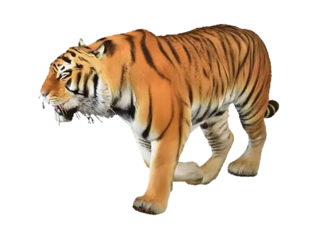 tiger - Bigcat 3D model, vytvořený pomocí AI