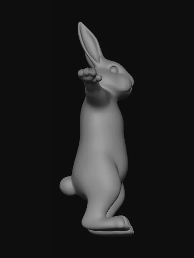 3D model for Rabbit in Four Views