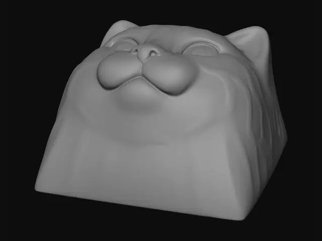 3D model for Peekaboo Cat