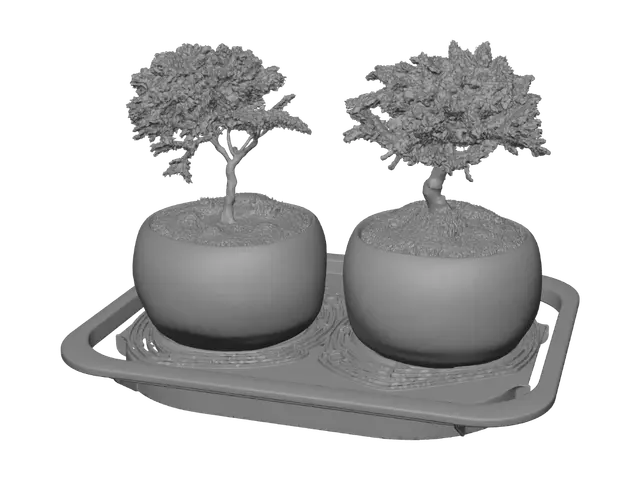 3D model for Twin Bonsai in Teal Pots