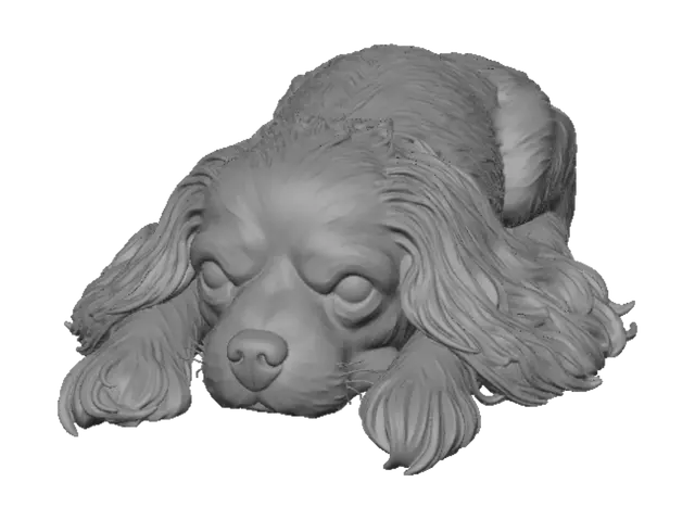 3D model for Sleepy Cavalier King Charles Spaniel
