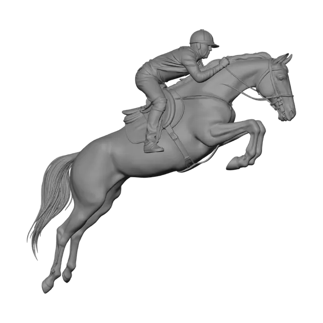 3D model for Equestrian Jump