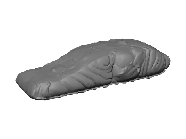 3D model for Grilled salmon fillet