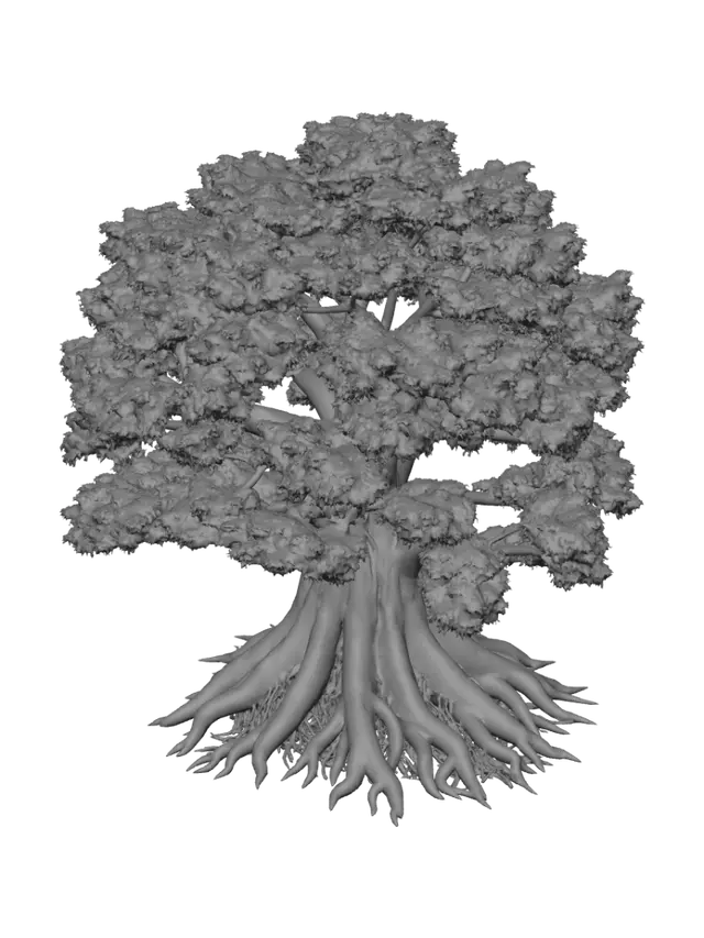 3D model for Convergence of Roots