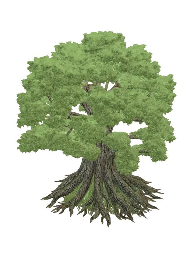3D model for Convergence of Roots