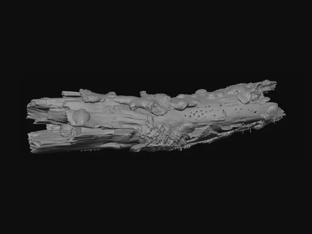 3D model for Driftwood with Moss and Lichen