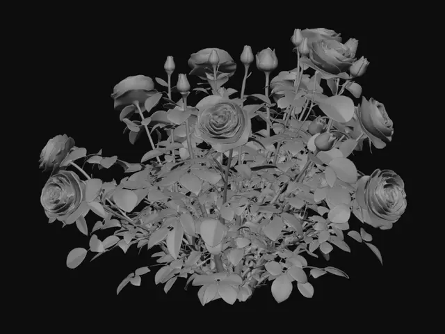 3D model for Two-Tone Roses in a Garden Bed